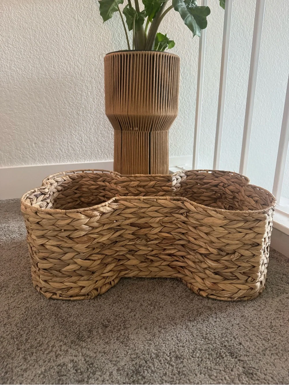 Handwoven Natural Seagrass Decorative Pet Basket 🦴 🧺